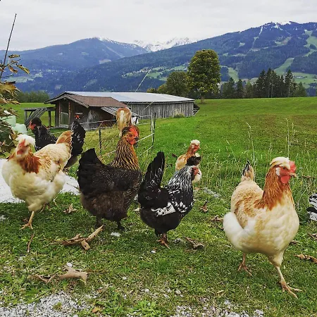 Hotel apartamentowy Burglehnerhof 3*