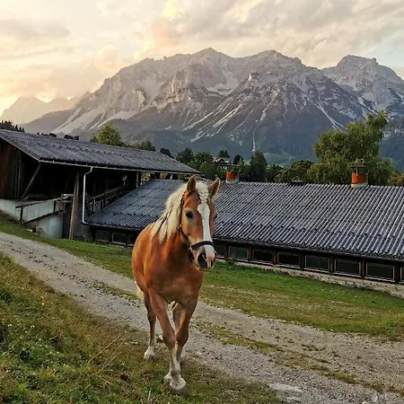 Aparthotel Burglehnerhof