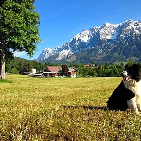 Aparthotel Burglehnerhof Ramsau am Dachstein