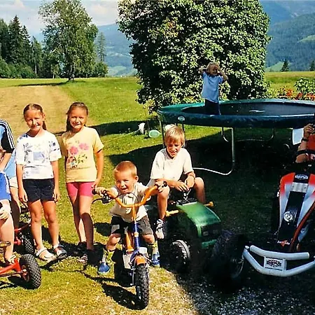 Burglehnerhof Ramsau am Dachstein