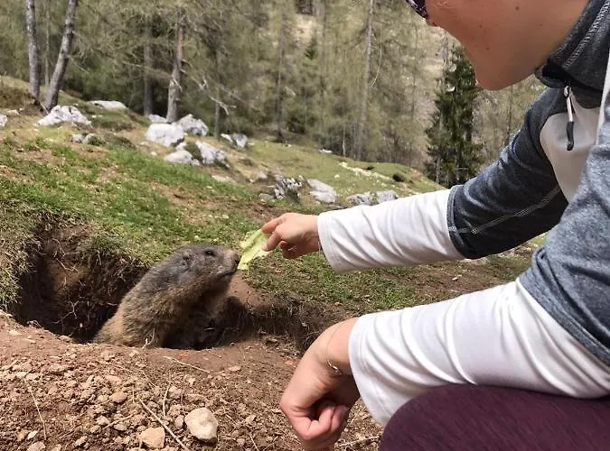 Burglehnerhof 3* Ramsau am Dachstein