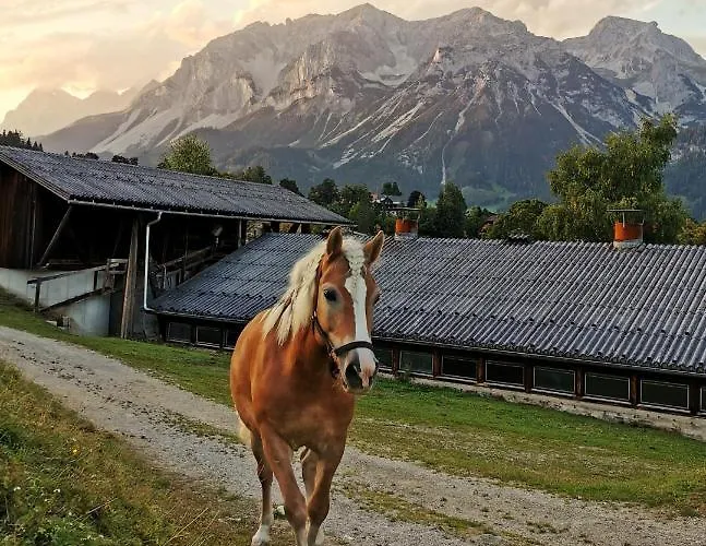 Aparthotel Burglehnerhof